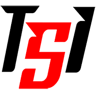 Trans-System International, Company